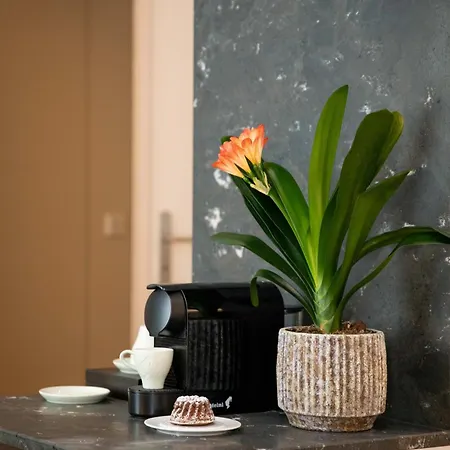 Apollo Achtquartier Am