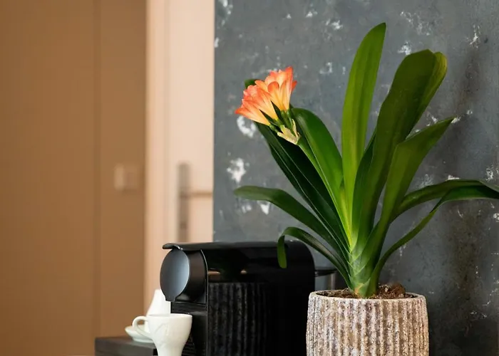 Apollo Achtquartier Am